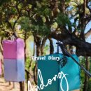 안동역<=>한국문화테마파크 순환 이미지