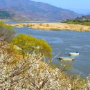 낙동강변20 이미지