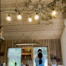 도토리캐빈 이미지