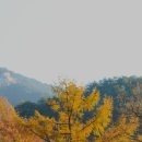 하나로임업