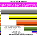 타이거 주짓수 이미지