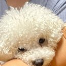 세븐일레븐발산점 이미지