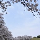 놀부목장 이미지