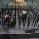 광양 김 시식지 이미지