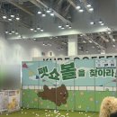 테테즈 이미지