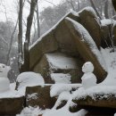 도반 이미지