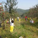 장구농장 이미지