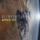 BBC Planet Earth 살아있는 지구(1편~11편) 이미지