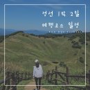 억새목욕탕 | [강원 정선 여행] 1박 2일 여행 코스 | 정선 가볼 만한 곳, 화암 8경 등