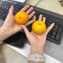 영통중학교 | 추워지기 ing.. &amp; HBD Nov.🎂