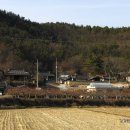 환구세덕사 이미지