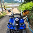킴코 mxer 125cc ATV 4륜 오토바이 농업용 산악 레져 운반 사발이 휘발유 이미지
