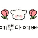 달고미케이크