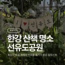 색체카페 2호 발전소 | 서울 산책하기 좋은 곳 선유도공원 한강 힐링 산책 후기