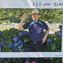 광도 Daum카페