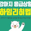 동심동물병원 이미지