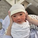 상동읍사무소 이미지