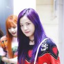 헤어퍼플 이미지