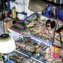 홈할인마트 이미지