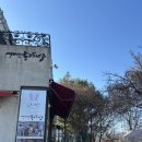 파주 헤이리마을 토끼 체험 아이와 가기 좋은 대형카페 석죽재물고기나무