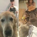 알콩달콩 이미지