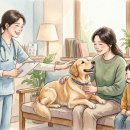 케어덴 동물치과&내과병원 | 강남동물병원 케어덴: 동물치과, 내과 협진으로 우리 아이 건강 지켜요!