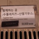 가덕도 바다뷰 대형카페 추천 &lt;세븐아일랜드&gt;