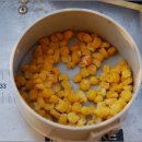 낚시 훈련소 이미지