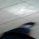 장생포 대왕암 코스 이미지