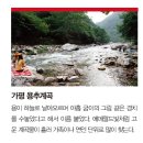 중원 이미지