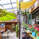 더하우스호스텔 이미지