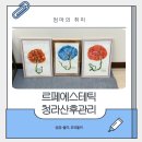 원광대학교 동서보완의학대학원 | [르페에스테틱] 인천 청라 산모특화 체형관리 산후관리 동서융합 마사지 후기