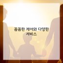 애견스토리 이미지