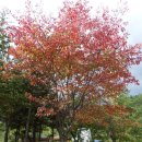 용인(강릉)휴게소 이미지