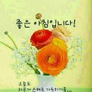 모짜르트음악학원 이미지