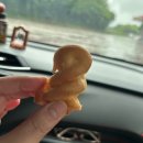 나무달쉼터 | 상림맛집 함양 지정 건강 100세 한식 맛집 “나무달쉼터” 돌솥산채비빔밥+떡갈비+흑돼지수육 내돈내산...