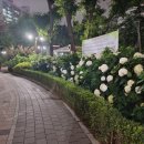 벌막공원 이미지