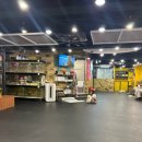 독특하개 이미지