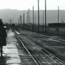 The train leaves at eight (기차는 8시에 떠나네) / The Walkabouts 이미지
