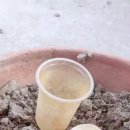 명심농장 이미지