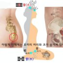 에이온 이미지