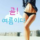 36.5체온다이어트 네이버블로그