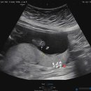 정평봄산부인과의원 이미지