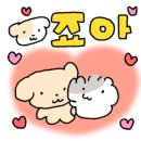 삼우약국 - 중랑구 면목로 257 | 삼우약국