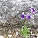 덕유산송계산장 이미지