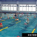 유성구종합사회복지관 수영장 이미지