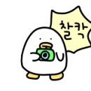 김해이민행정사사무소 이미지