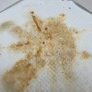 청담피자오송점 이미지