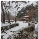삼-라만상