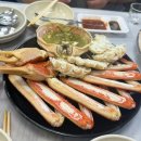 동호정비 | [양양] 양양 몽돌해변 정암해수욕장,동호해변 [속초] 롯데리조트,울산바위뷰 카페 너래